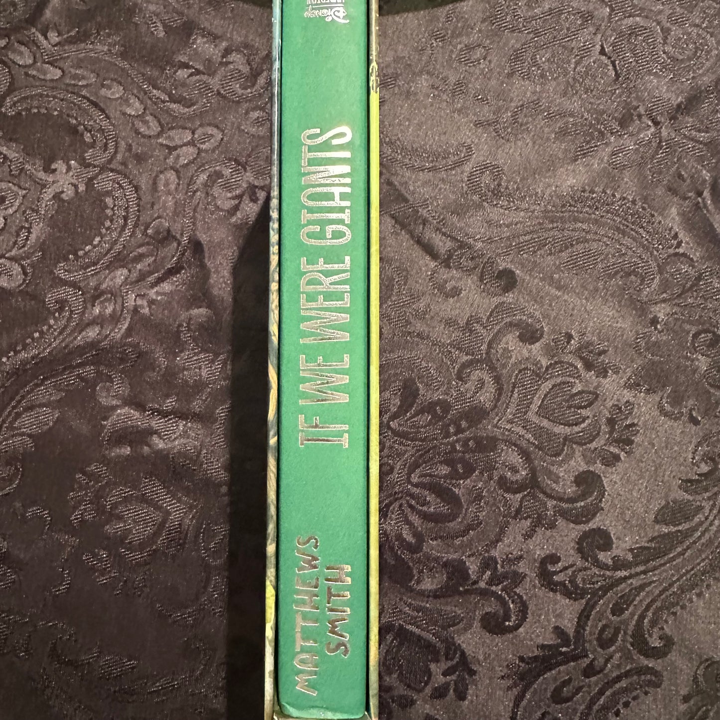 Signed Dave Matthews If We Were Giants book