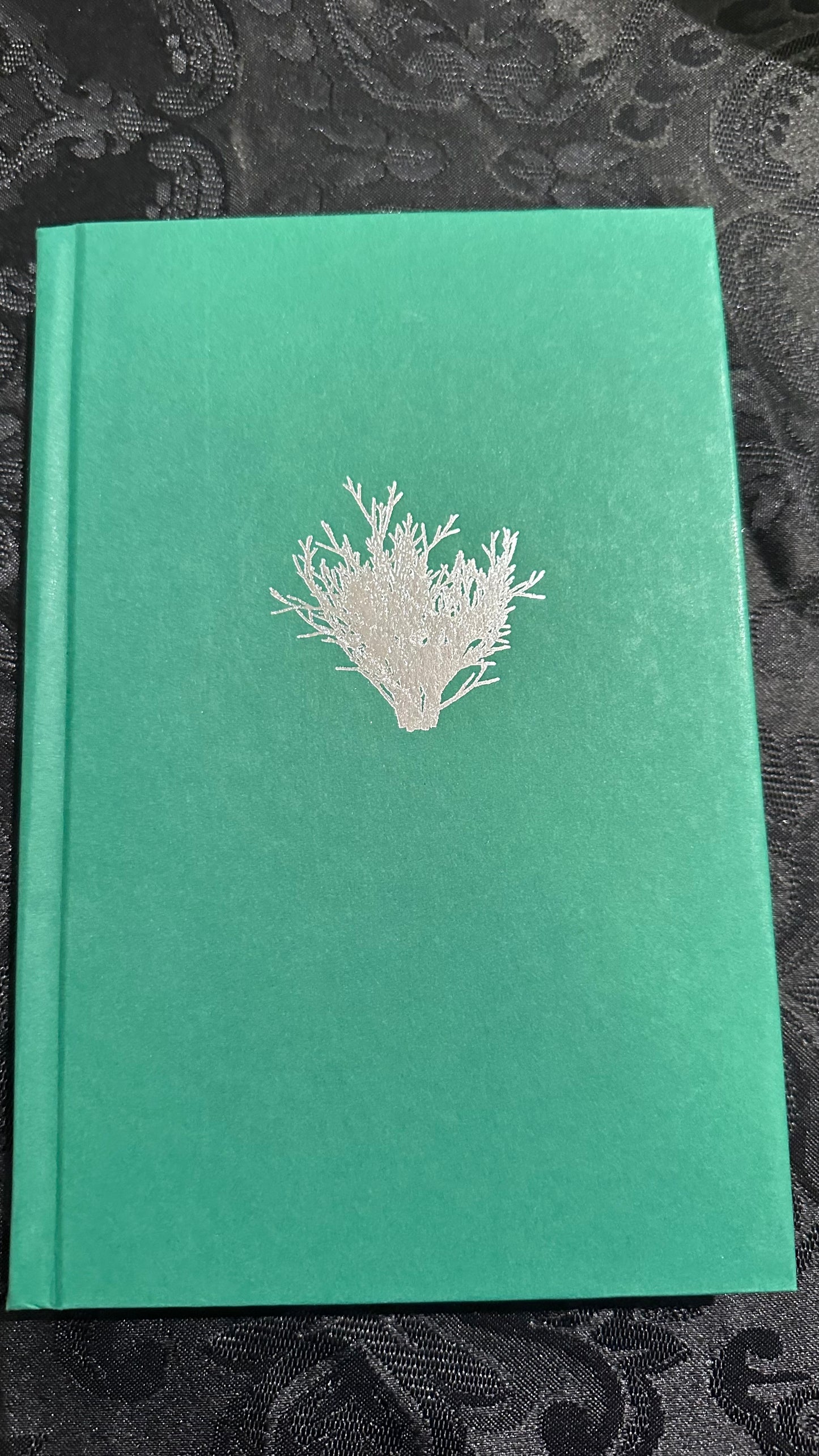 Signed Dave Matthews If We Were Giants book