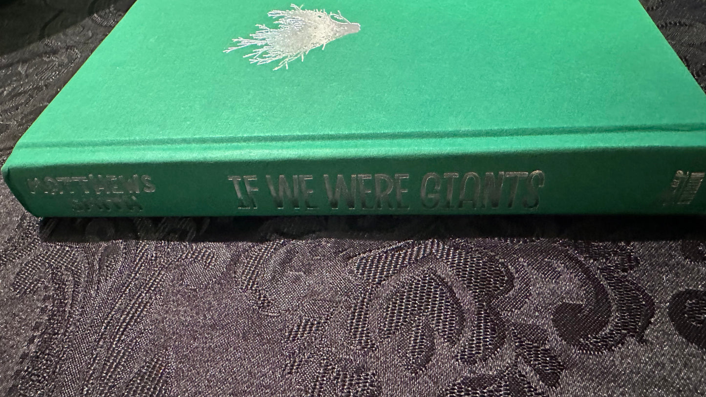 Signed Dave Matthews If We Were Giants book
