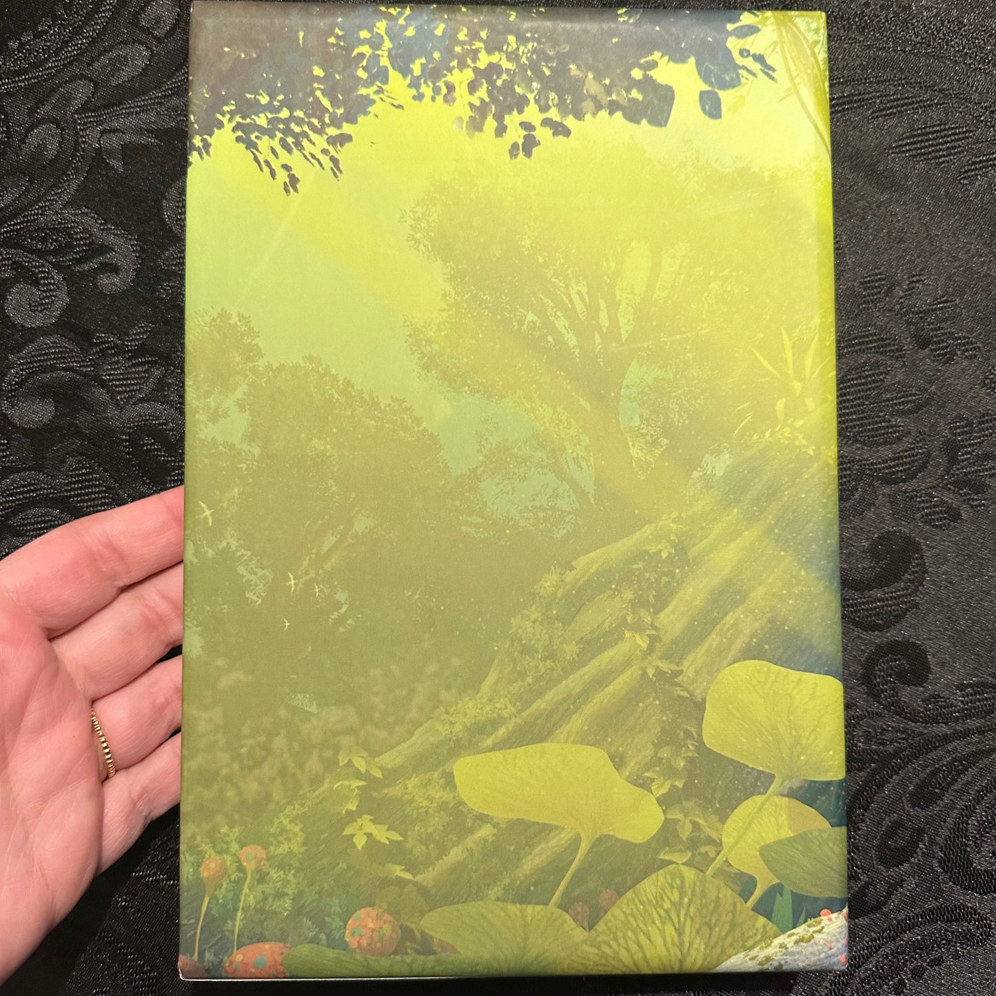 Signed Dave Matthews If We Were Giants book