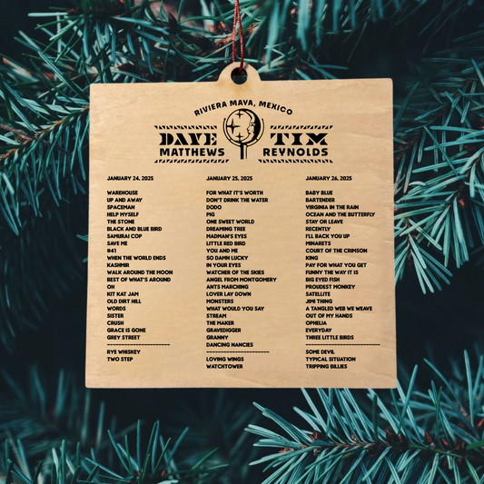 a christmas ornament hanging from a tree